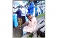 হৃদয় ছুঁয়েছে যে দৃশ্য