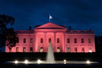 হঠাৎ হোয়াইট হাউজ হয়ে গেল গোলাপি হাউজ