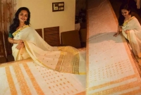 পরাও যাবে আবার ক্ষুদা পেলে খাওয়াও যাবে, অভিনব শাড়ি বানিয়ে চমক শিল্পীর