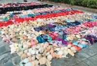 নারীদের অন্তর্বাস চুরি করাই তার শখ! বাড়ি থেকে ৭০০ অন্তর্বাসসহ আটক ব্যক্তি