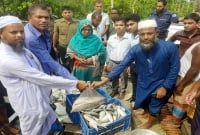 তিনটি এতিমখানায় দেওয়া হলো জব্দ ইলিশ সহ সামুদ্রিক মাছ