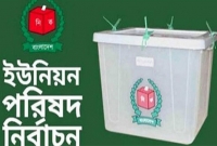 ইউনিয়ন পরিষদ নির্বাচনে নিজের ভোটও পেলেন না দুই মেম্বার প্রার্থী!