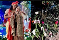 এফডিসির শুটিংয়ে আমগাছে ধরেছে জবা ফুল!