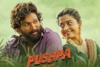 ৭২ ঘণ্টায় ১২০ কোটি আয়! আল্লু অর্জুন ও রাশমিকার সিনেমার নয়া রেকর্ড