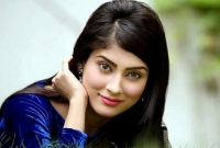 ভক্তরা দেখতে চান চলচ্চিত্রে, যা জানিয়ে দিলেন মেহজাবিন