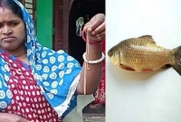 কাটার পর রুই মাছের পেটে যা মিলল তাতে অবাক সবাই!