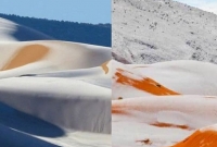 মরুভূমির বুকে ঘটেছে অবিশ্বাস্য ঘটনা বিস্ময়ে হতবাক গোটা পৃথিবীকই!