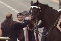 সুদীর্ঘ ১৯ বছর কর্মজীবনের পর অবসরে ভারতের রাষ্ট্রপতির দেহরক্ষী 'বিরাট', আপ্লুত দেশবাসী