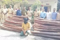 এবার পুস্পার আদলে কোটি টাকার রক্ত চন্দন পাচার করতে গিয়ে গ্রেফতার! 