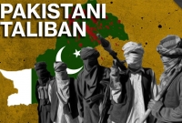 তেহরিক-ই-তালেবান পাকিস্তানের অভ্যন্তরীণ সমস্যা : আফগান তালেবান 