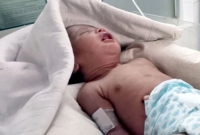 নেত্রকোনায় মধ্যরাতে জঙ্গল থেকে ভেসে আসছে নবজাতকের কান্না