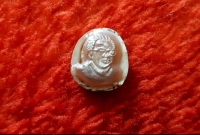 ঝিনাইদহে ঝিনুকের গর্ভে মুক্তার বঙ্গবন্ধুর প্রতিকৃতি!