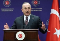  ফিলিস্তিনের স্বার্থ বিসর্জন দিয়ে ইসরায়েলের সঙ্গে সম্পর্ক না : তুরস্ক