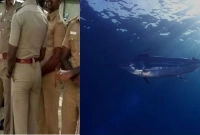 যেকারণে এক মাছের বিরুদ্ধে মামলা করল পুলিশ