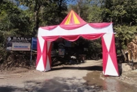 বিয়ের অনুষ্ঠানে মর্মান্তিক দুর্ঘটনা, ১৩ জনের মৃত্যু