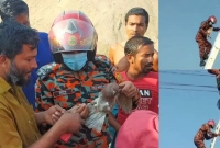 ছুটে আসল ফায়ার সার্ভিস, জীবিত উদ্ধার কবুতরটি