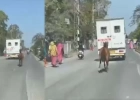 আহত সাথীকে নিয়ে যাচ্ছে অ্যাম্বুল্যান্স, পিছু নিয়ে ৮ কি.মি দৌঁড়ে হাসপাতালে ঘোড়া আহত সাথীকে নিয়ে যাচ্ছে অ্যাম্বুল্যান্স, পিছু নিয়ে ৮ কি.মি দৌঁড়ে হাসপাতালে ঘোড়া