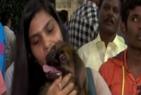  প্রিয় কুকুর ‘ক্যান্ডি’কে সঙ্গে নিতে অবলীলায় ব্যাগপত্র ফেলে এলেন ইউক্রেন ফেরত তরুণী