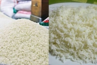 ফেলে না দিয়ে বাসি ভাত দিয়ে বানান মজাদার ৪ খাবার