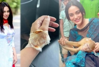 বানরের কামড়ে ক্ষত-বিক্ষত হাত, হাসপাতালে নায়িকা তমা মির্জা