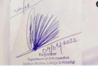 ভাইরাল এই স্বাক্ষর! সজারু নাকি ময়ূর?