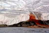 ধবধবে হিমবাহের বুক চিরে নেমে আসছে রক্তের ধারা! অবাক করা এই 'রক্তাক্ত ঝর্ণা'