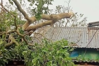নেত্রকোনায় আকস্মিক ঘূর্ণিঝড়ে দেড় শতাধিক ঘরবাড়ি বিধস্ত 