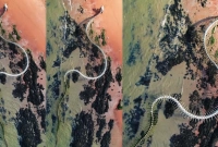 ৪২৫ ফুট লম্বা সাপের এই কঙ্কালটি একটি ধাতব ভাস্কর্য!