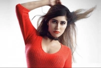 সে যেই ধর্মাবলীরই হোক না কেন, টিপ পরা তার একান্ত ব্যক্তিগত বিষয়: নায়লা নাঈম