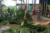মুহুর্তে ভেঙে গেছে দুই শতাধিক ঘড়বাড়ি, উপড়ে পড়েছে তিন শতাধিক গাছ