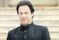 বলিউডের যে নায়িকার প্রেমে পড়েছিলেন ইমরান খান! 