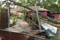 পহেলা বৈশাখেই কালবৈশাখীর তাণ্ডবে মা-মেয়ে-ছেলের মর্মান্তিক মৃত্যু