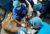  প্রেমিক সম্রাটের কারণেই বাঁচানো গেল না প্রেমিকা নদীকে