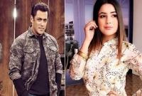 সবাই পাঞ্জাবের ক্যাটরিনা বলে ডাকেন! এবার সালমানের সঙ্গে