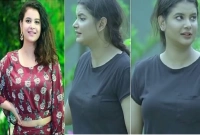 অবশেষে জানা গেল অভিনেত্রী শবনম ফারিয়ার বরের নাম-পরিচয়