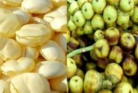 যে অবাক করা ফল পাবেন তালের শাঁস খেলে