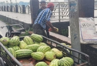 তরমুজের ক্রেতা নেই, কেউ ফেলছেন ডাস্টবিনে-কেউ নদীতে!