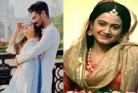 যে তথ্যে আরো চাঞ্চল্য!  পল্লবীর অনুপস্থিতিতে ফ্ল্যাটে যা হতো!