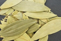 তেজপাতা পোড়ানোর উপকারিতা জানলে নিজেই অবাক হবেন!