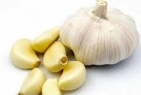রসুনকে প্রাকৃতিক এন্টিবায়োটিক বলা হয়