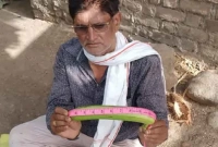 ১৪ ইঞ্চির 'সিঙ্গাপুরী কলা' চাষ করে তাক লাগালেন কৃষক