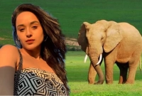 হাতির মলের জুস পান! কল্পনাতীত কাজ করে বসলেন অভিনেত্রী