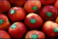 ফলের গায়ে এই 'স্টিকার' এর মানে কি? জানুন