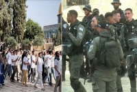 তুমুল সংঘর্ষ ফিলিস্তিনি-ইসরাইলি বাহিনীর, আহত দুই শতাধিক 