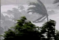 শক্তিশালী ঝড়ে লন্ডভন্ড দিল্লি, যতজনের মৃত্যু