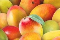 পাকা আম দীর্ঘদিন সংরক্ষণ করার তিন পদ্ধতি!