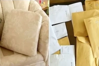 ফ্রি পাওয়া চেয়ারের ভেতর বড় চমক অপেক্ষা করছে জানতেন না ওই নারী!