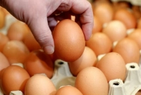 ডিম না ফাটিয়ে ডিমটি পচা কিনা বুঝবেন যেভাবে!