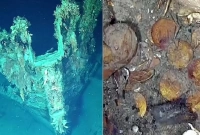 সমুদ্রের তলদেশে মিলল বিপুল স্বর্ণমুদ্রা সহ জাহাজ!