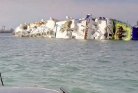 প্রায় ১৬ হাজার ভেড়া সহ ডুবে গেল জাহাজ